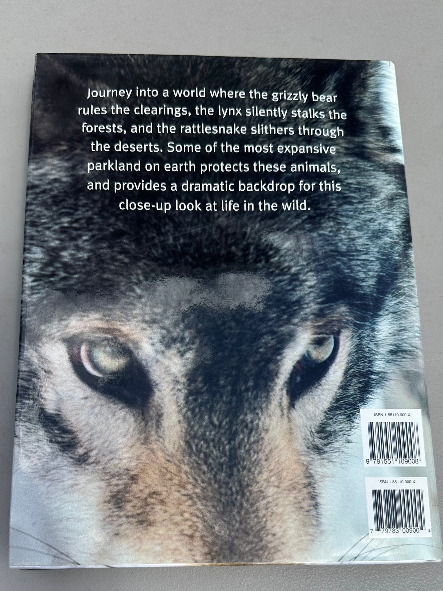 North American Wildlife by David Jones