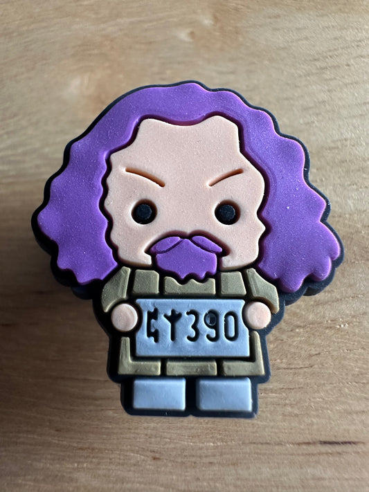 Sirius HP shoe charm